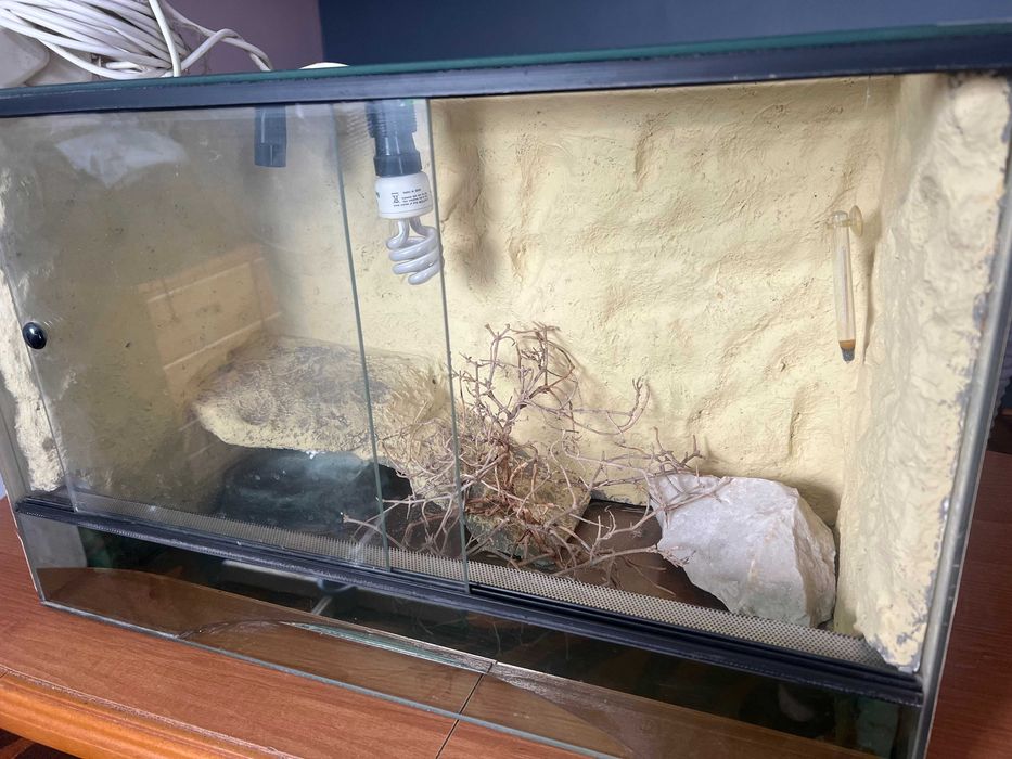 Terrarium dla gadów