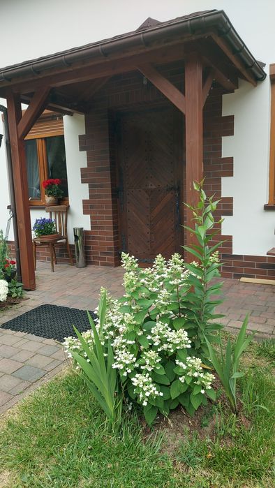 Domek na Święta lub Sylwestra