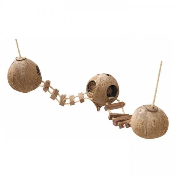 Globos de Coco com 2 Escadas Suspensas para Roedores