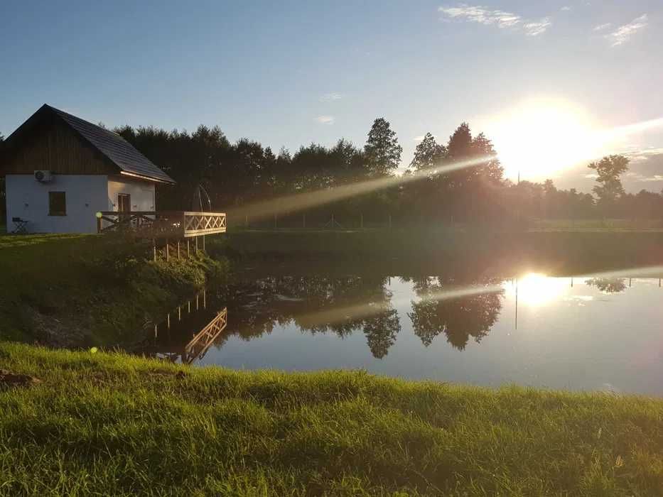Wynajem domków basen,jacuzzi, sauna, tenis, TRZY STAWY Wędkarstwo