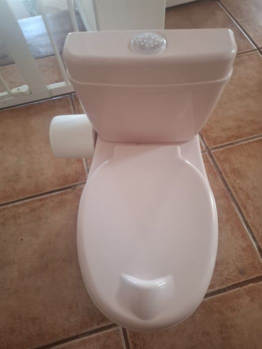 Sanita de aprendizagem