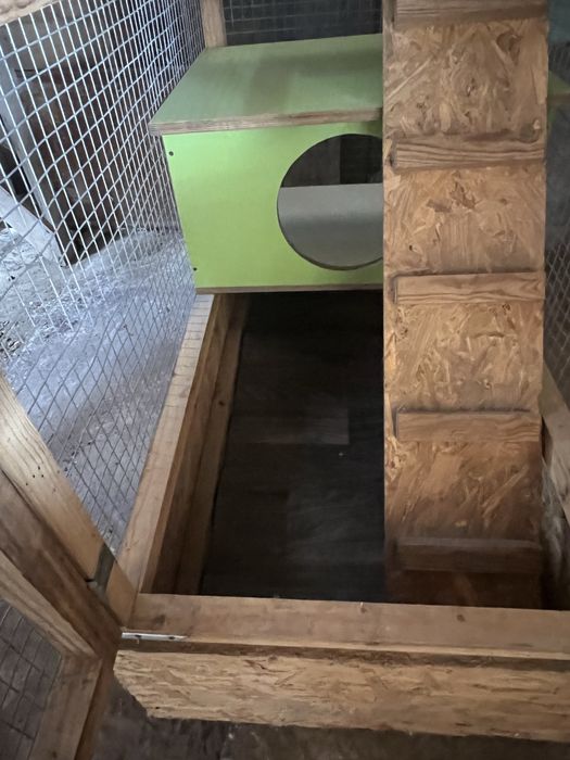 Клітка для гризунів, єнота