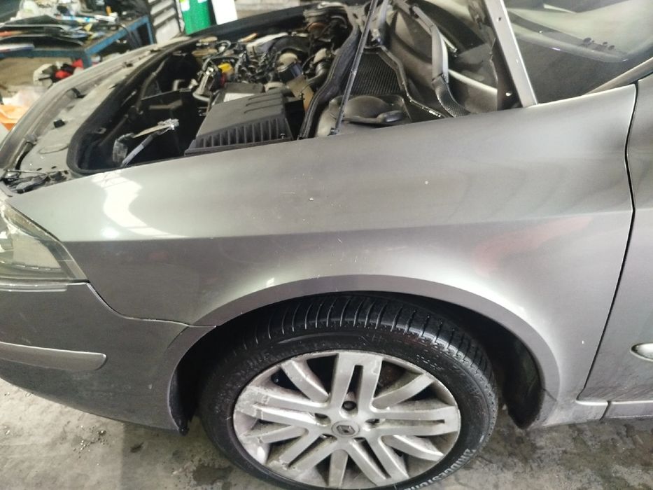 Guarda-lamas esquerdo RENAULT Laguna II (BG0/1_)