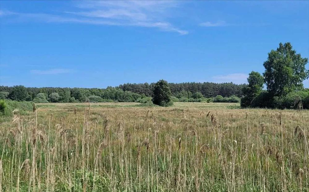 Działka rolna 3000m2 blisko morza