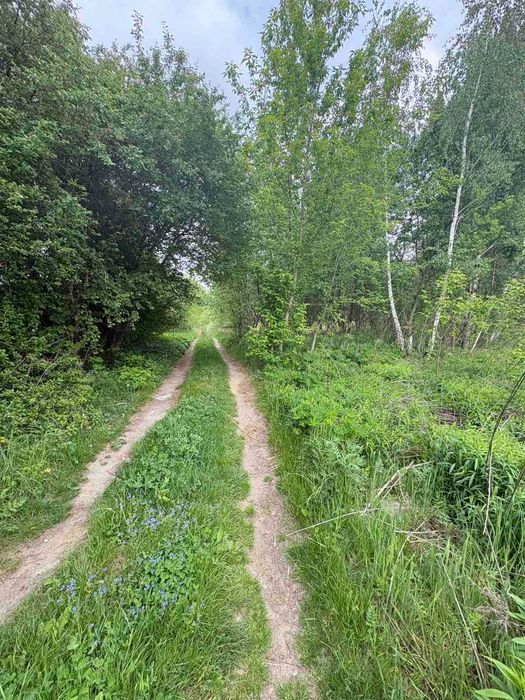 Продаж земельної ділянки с. Зимна Вода