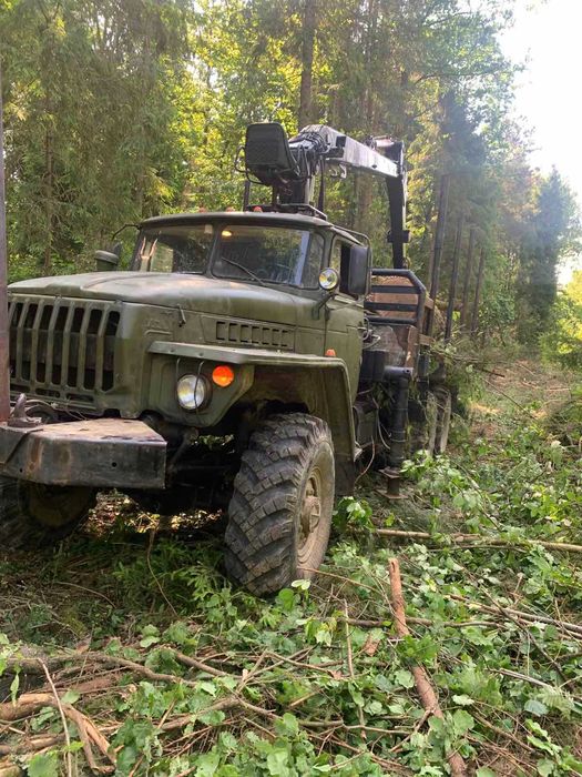 Потрібна техніка для заготівлі та вивозки лісу