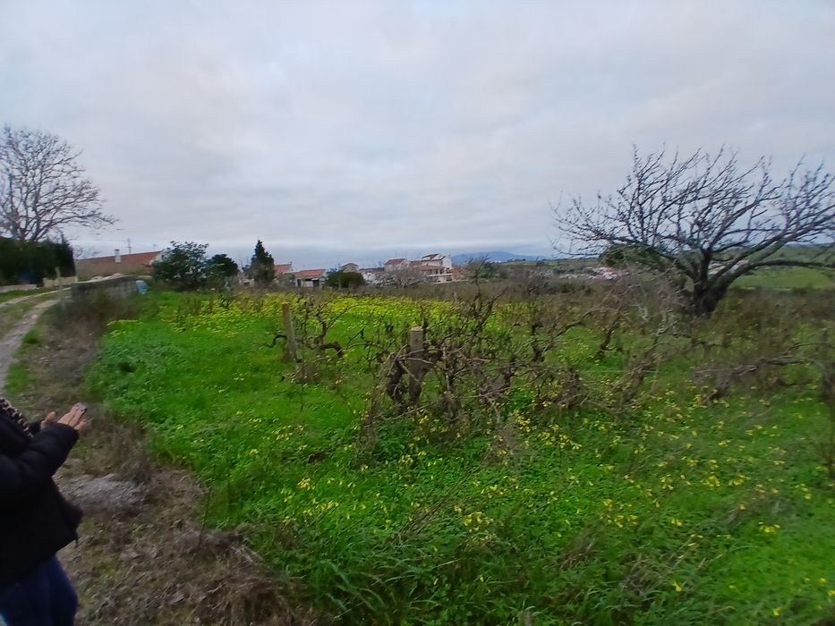 Propriedade com casa e garagem