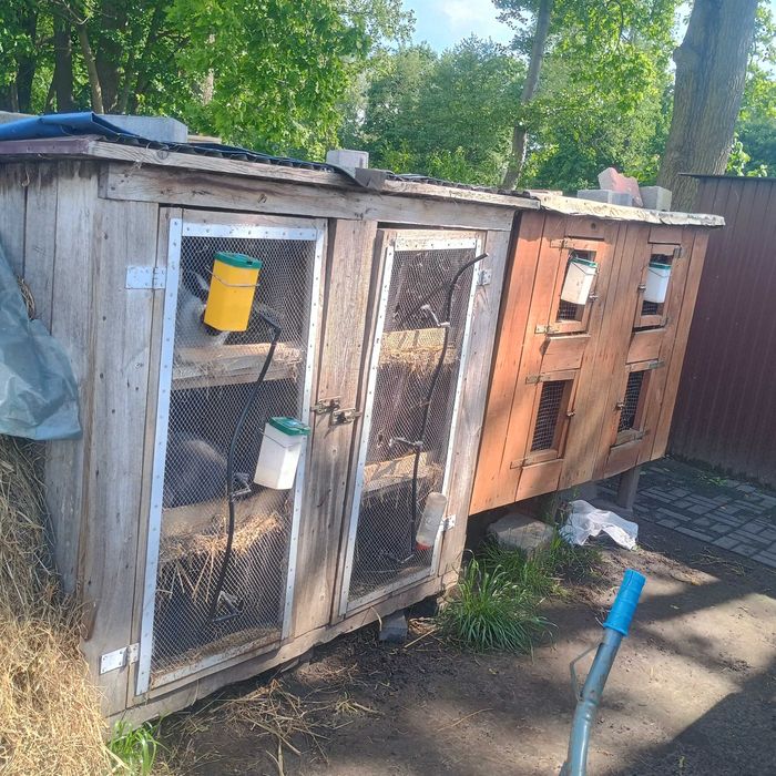 Klatki, poidła,karmniki dla królików