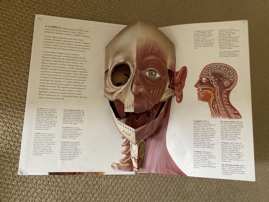 Livro - O corpo humano -Jonathan Miller David Pelham