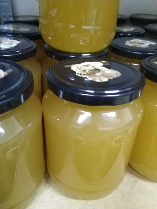 Miód z własnej pasieki sprzedam 1kg