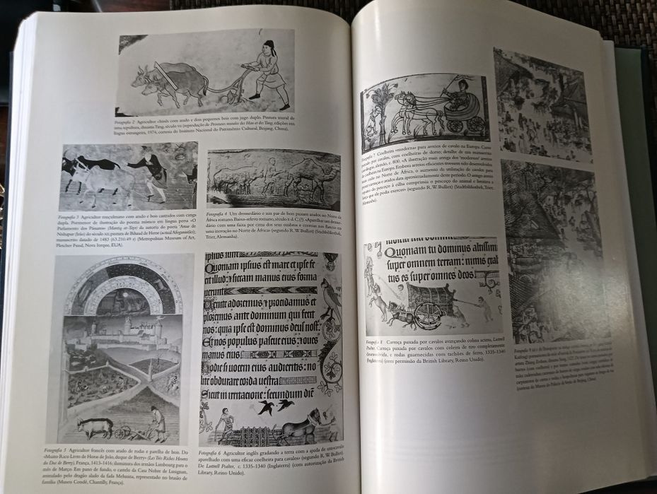 Livro História da Humanidade Verbo