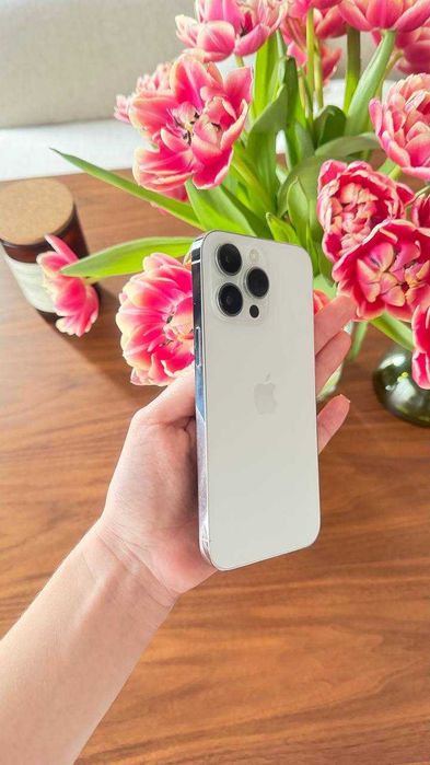 iPhone 14 Pro Max 256 GB Silver / White