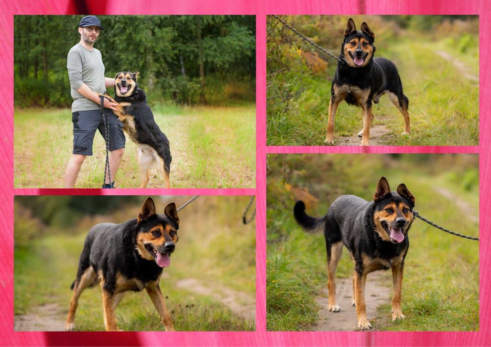 IVAN - marzy o nowym domu i rodzinie