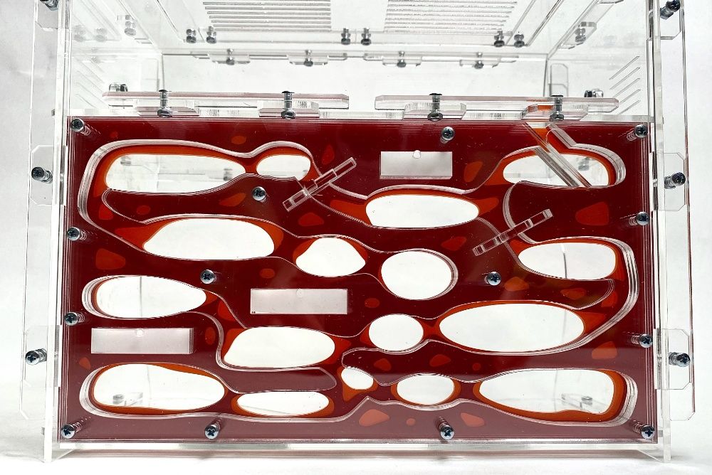 Duże, Szczelne Formikarium "Giant"​ do Hodowli Mrówek