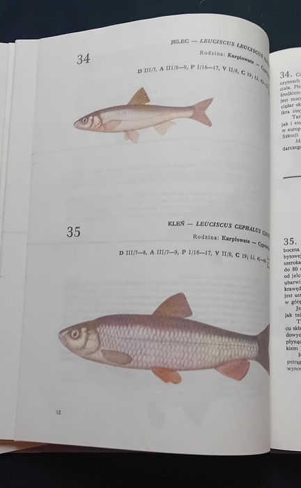 Andrzej Rudnicki. Atlas ryby wód polskich. WSiP, 1989 r. Wydanie V.