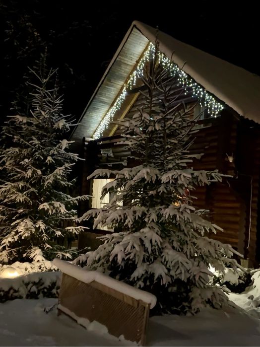 «Котеджі біля лісу» на 4-8 осіб