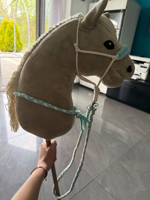 Zestaw dla Hobby Horse