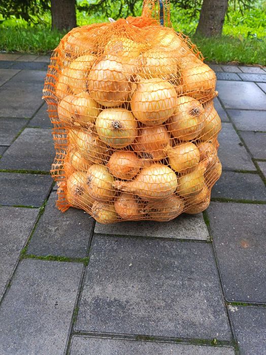 Sprzedam ziemniaki/cebule