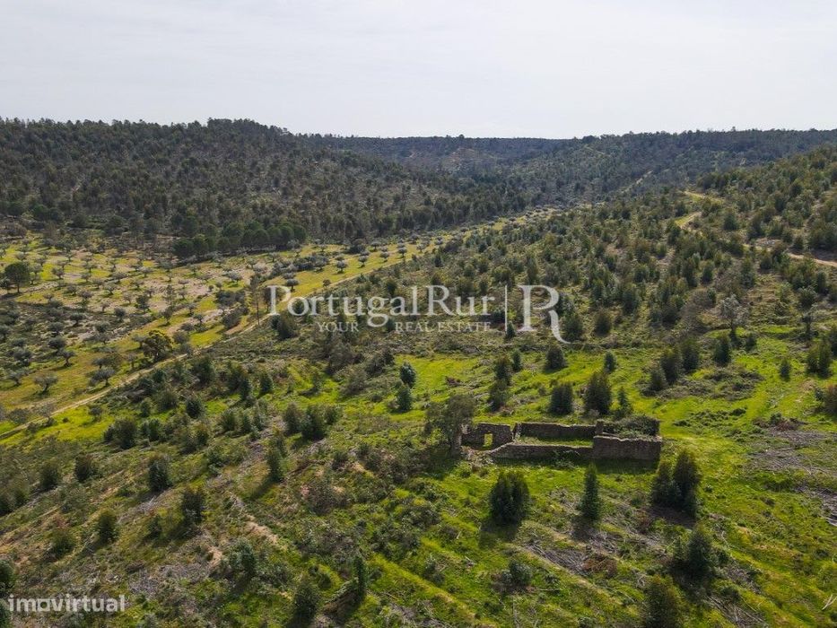 Herdade de 47,7ha com eucaliptal