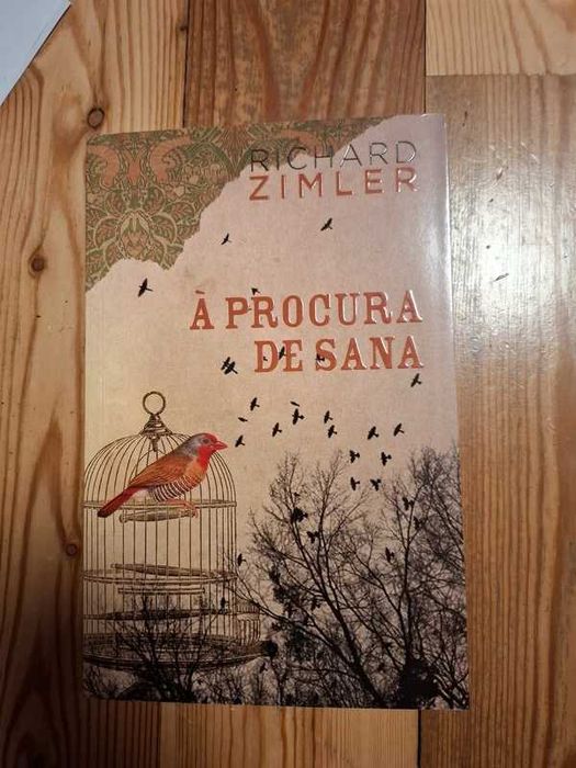 À procura de Sana - Richard Zimler