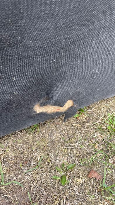 Диван з шкірозамінника