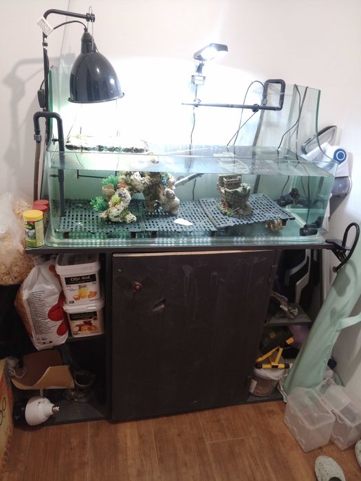 Aquário para tartarugas