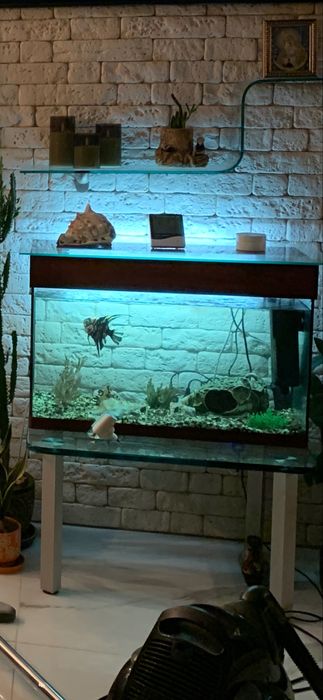 Продам аквариум на 80 литровне течет!, со всеми имеющимися прииборами!
