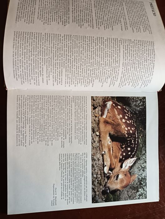 Mamíferos ungulados e lagomorfos; 	Coleção Animais de todo o Mundo*