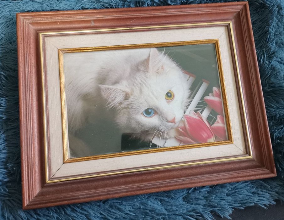 Quadro / moldura de madeira