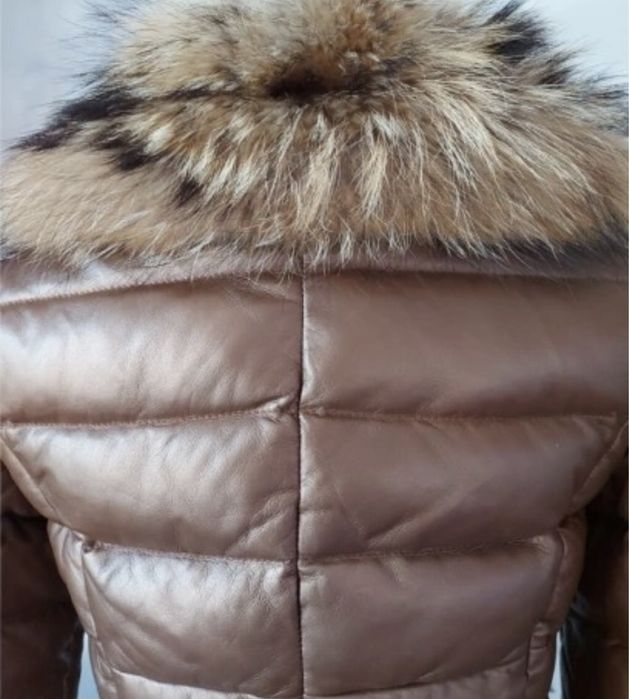 Bomberka  Ochnik skora naturalna jenot naturalny Poszukiwana .