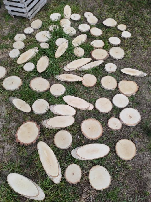 Plastry drewna brzoza rękodzieło handmade