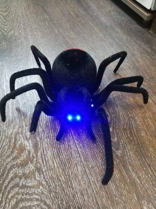 Павук на радіоуправлінні, великий.