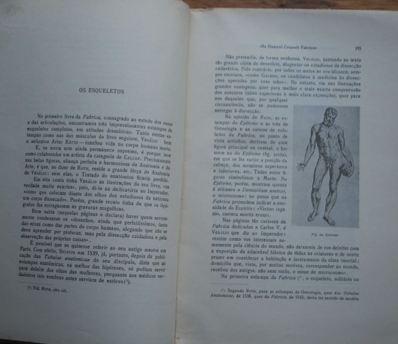 Comentários Às Estampas do Tratado de André Vesálio