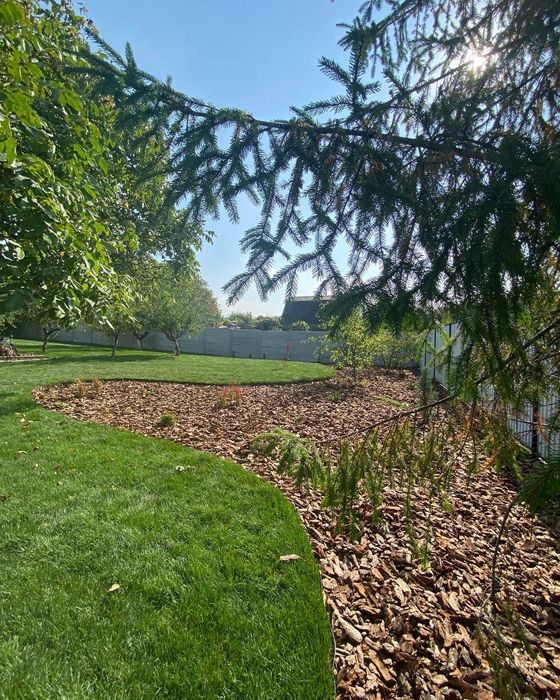 Садовий сервіс, прибирання снігу, топіарна стрижка, покіс газону