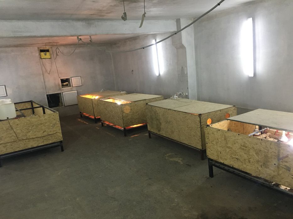 Продається багатофункціональне фермерське приміщення
