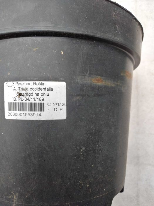 Doniczki osłonki plastikowe od 17 cm -25cm 70szt