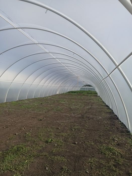 Теплична плівка 150 мікрон , 12-14-16 м ширина