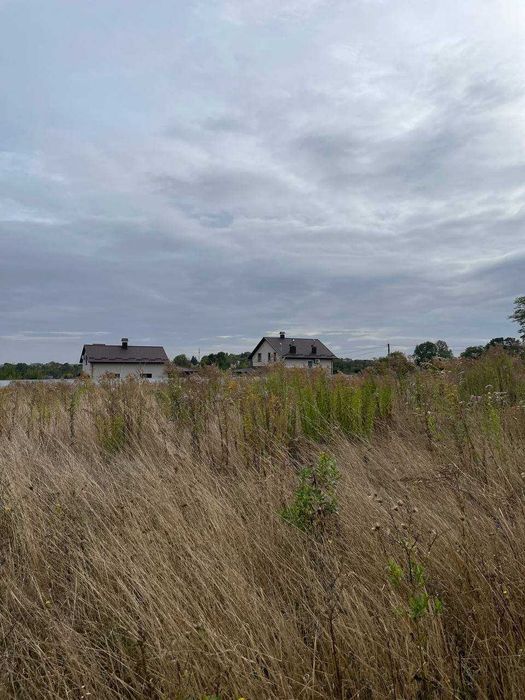 (5)   Продам зем. ділянку в с. Бохоники 9081