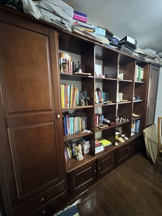 Estante/Biblioteca grande em madeira com arrumação