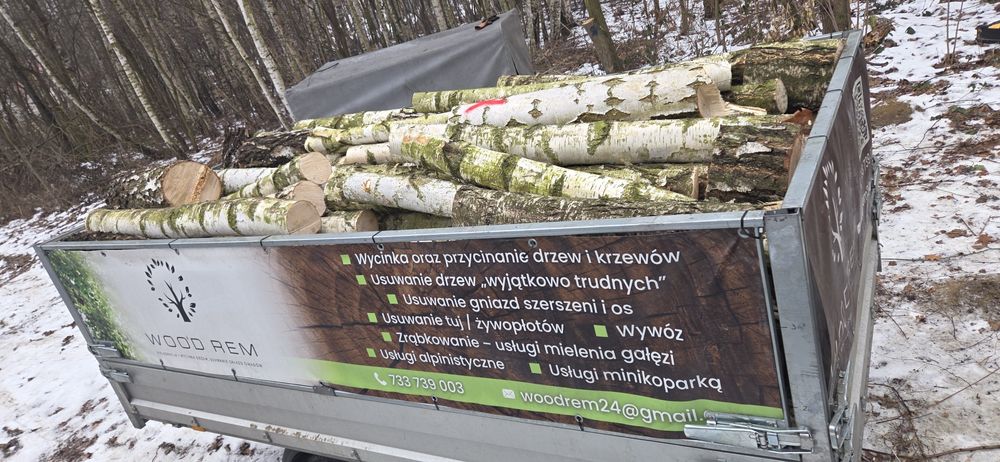 NAJTAŃSZA wycinka drzew w regionie !!  Pielegnacja, wycinka, karczowa