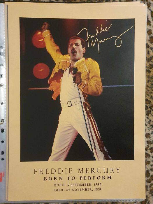 Plakat Freddie Mercury A3 30x42 Dekoracja idealny na prezent