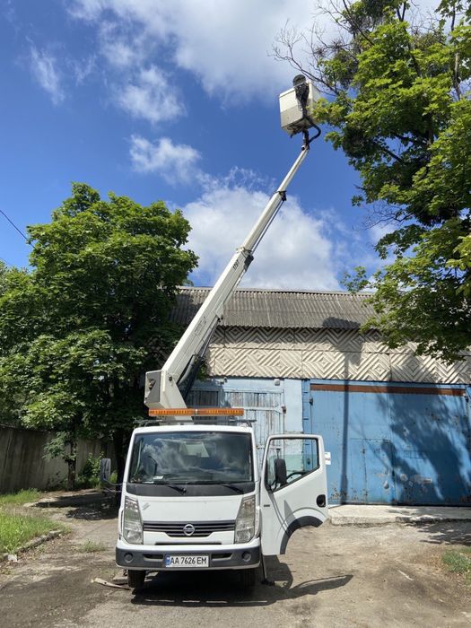 Вишка, Nissan Cabstar