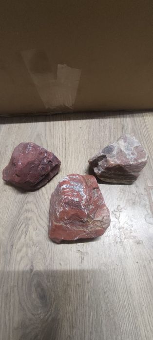 Red jaspis czerwony wodny akwarium