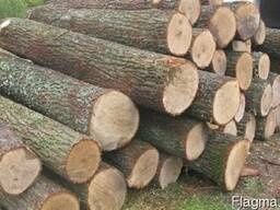 Дрова тверда порода з доставкою