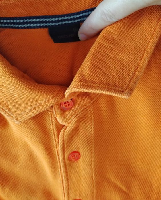 Polos XL marca Lacoste, Pedro del Hierro, Cortefiel, Lloyd's, Springf