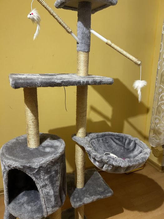 Duzy drapak dla kota