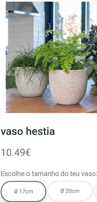 FLORISTAS!!! Stock de vasos novos