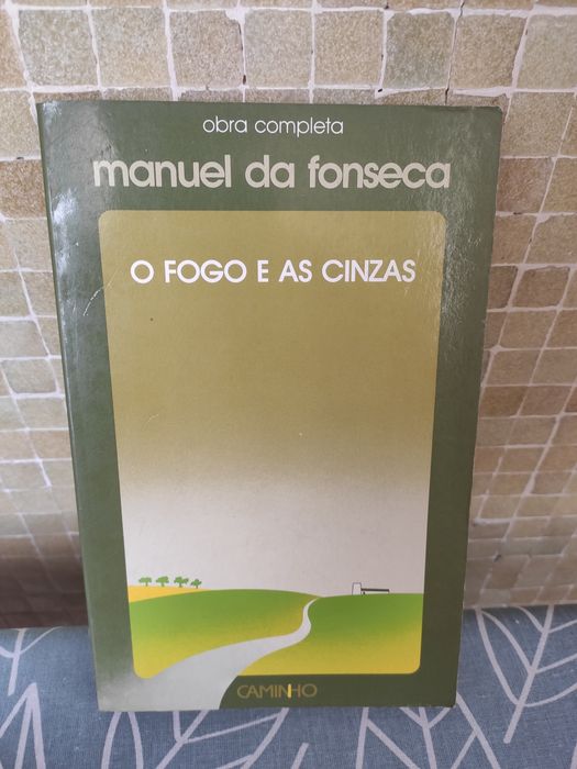 O Fogo e as Cinzas