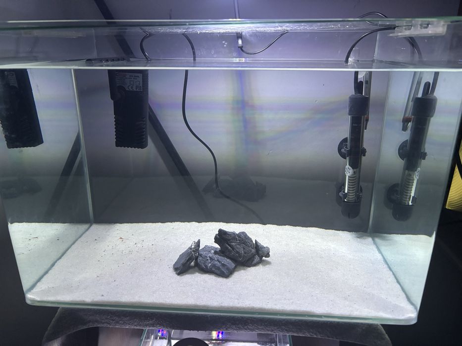 aquario 36 litro  e acessórios