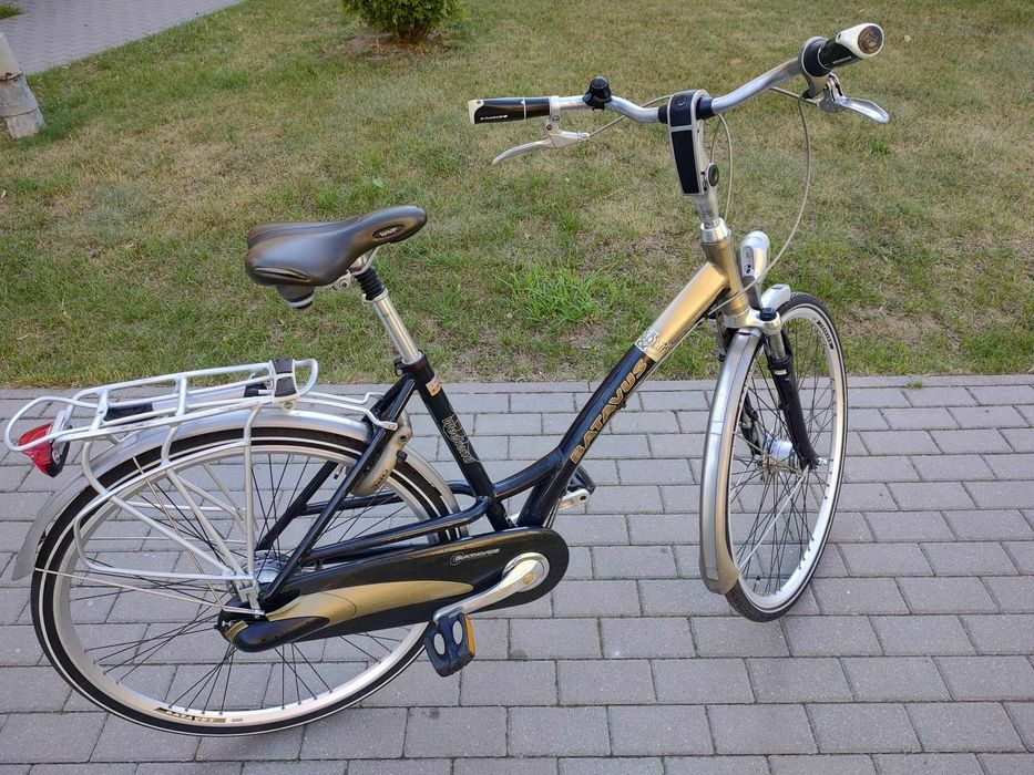 Rower Batavus damka